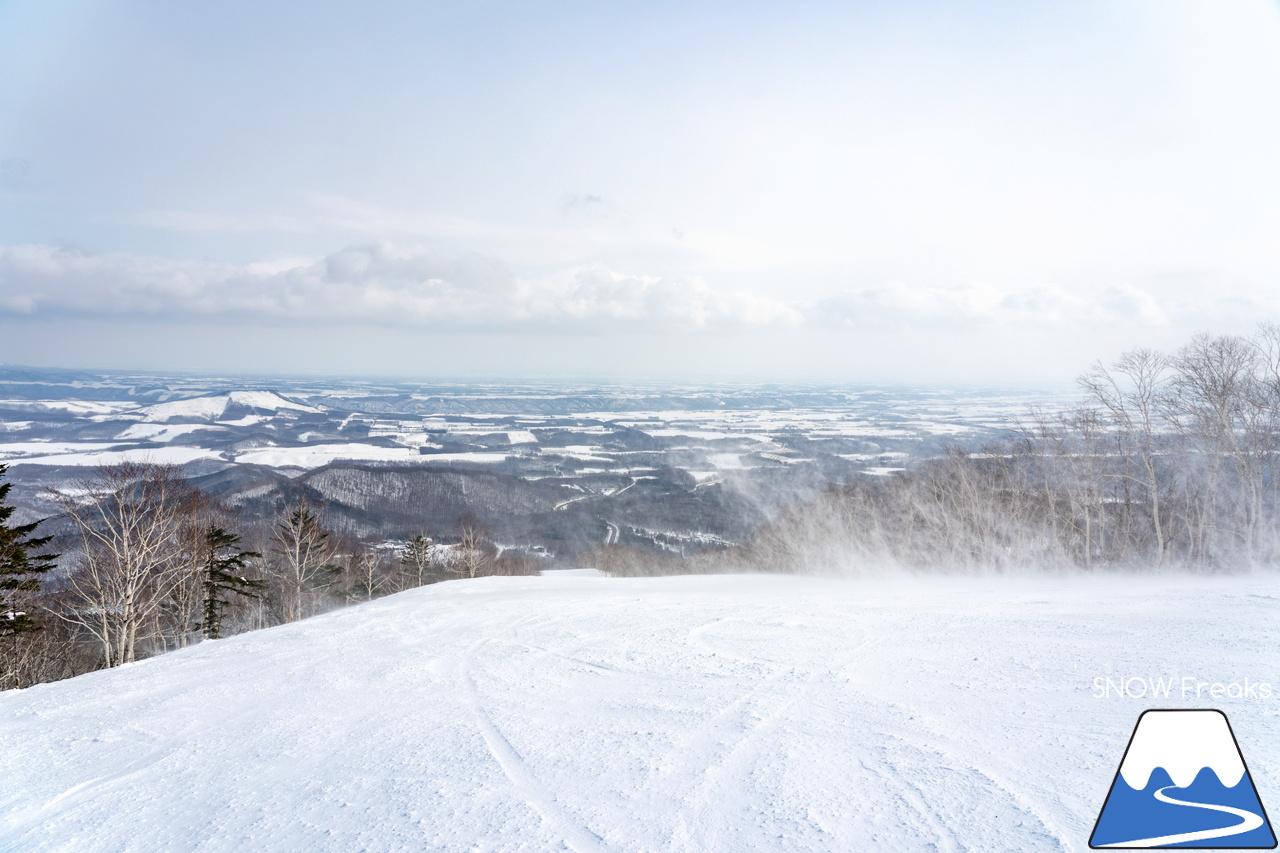 十勝サホロリゾート｜あの記録的な大雪から１週間…。ゲレンデのコンディションは、この上ないほど良好です(^^)v